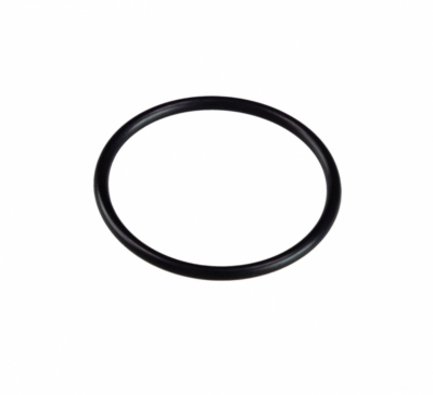 Кольцо уплотнительное D54хd49хh2.5 N000-025-880 для НС-М1-400-Ч, НС-М1-650-Ч